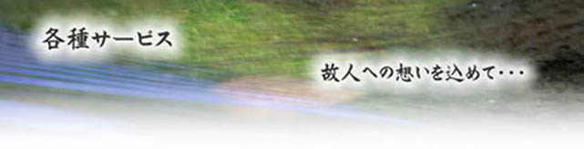 �F���s�̑��V�A�����͂₷�炬��قɂ��C��������